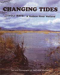 Tivoli Bays, A Hudson River Wetland